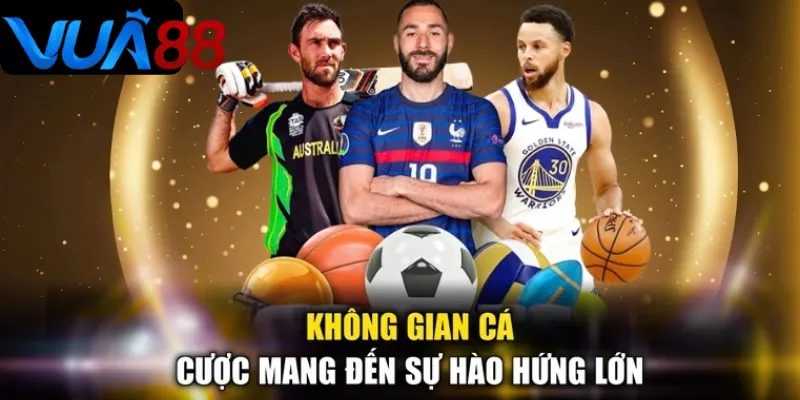 Sảnh thể thao Vua88 có nhiều bộ môn hấp dẫn